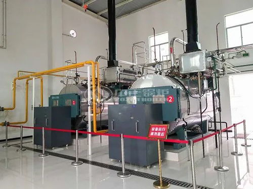 与又一省级名企合作 中正燃气锅炉助推水产品深加工发展