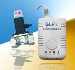 家用燃气泄漏探测器 一氧化碳报警器专业制造商欢迎咨询高清图片 高清大图