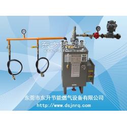 汽化器 东升节能燃气设备 燃气锅炉厂配用汽化器 东升